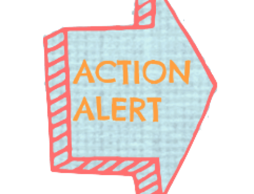 Take Action to Keep All Students Safe at School! || Stop Hurting Kids