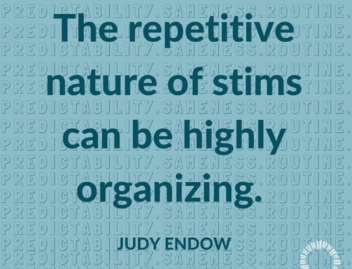 The Predictability, Pattern and Routine of Stimming